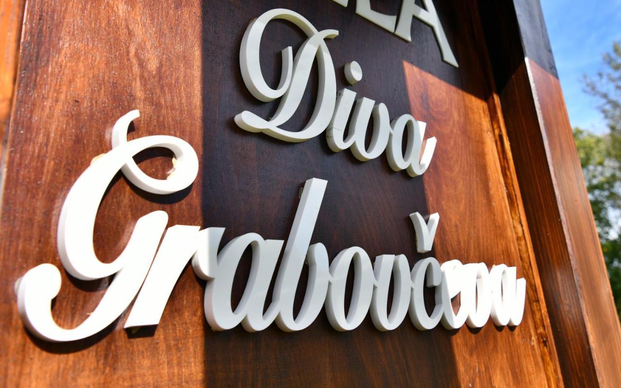Villa Diva Grabovceva 拉科维察 外观 照片